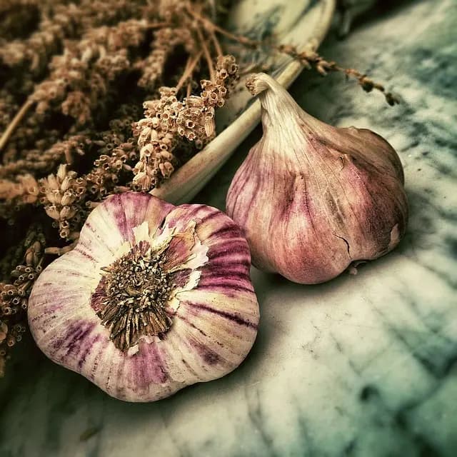 Comment bien utiliser un hachoir de cuisine